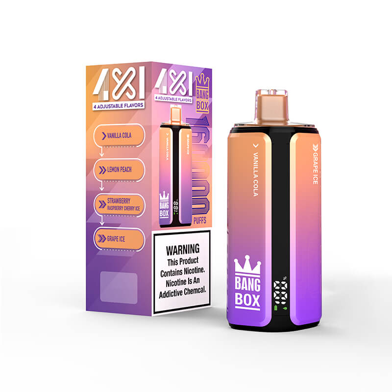 Bang Box 160000 Puffs 4in1 Disposable Vape