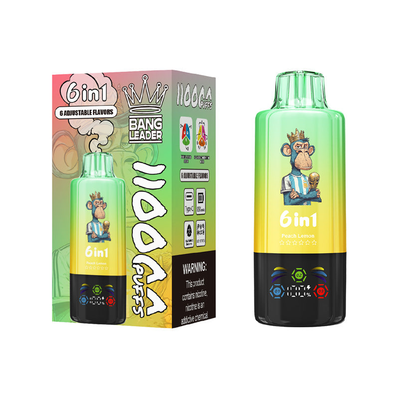 Bang Leader 110000 Puffs 6 Flavors Disposable Vape