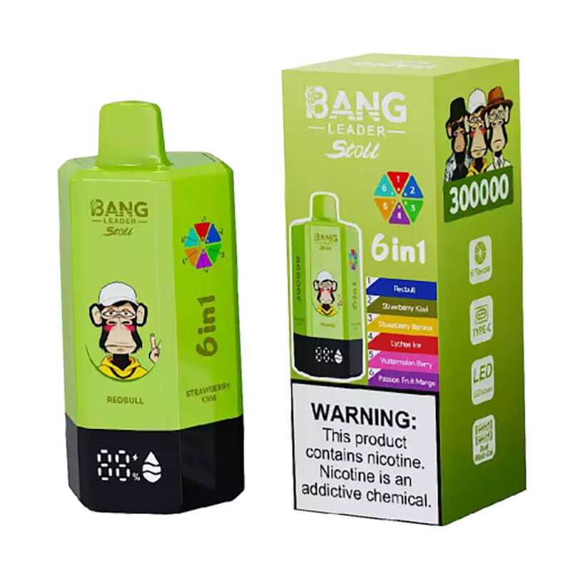 Bang Leader Stoll 300000 Puffs 6 Flavors Disposable Vape