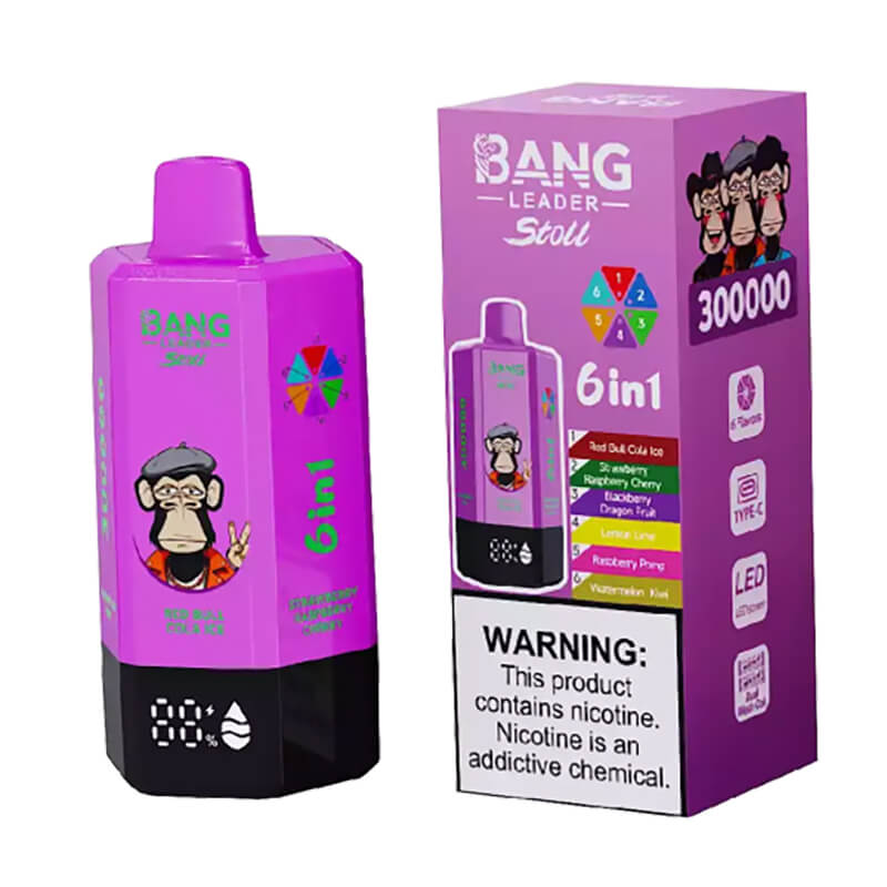 Bang Leader Stoll 300000 Puffs 6 Flavors Disposable Vape