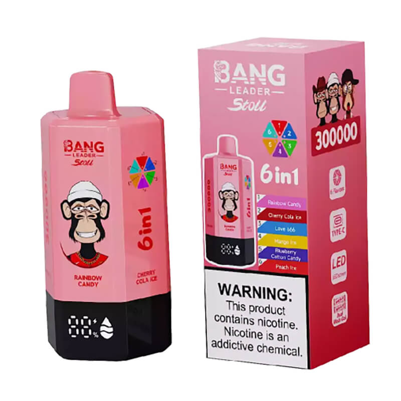 Bang Leader Stoll 300000 Puffs 6 Flavors Disposable Vape
