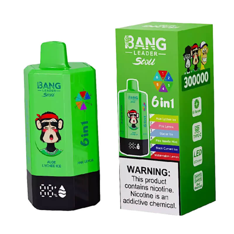 Bang Leader Stoll 300000 Puffs 6 Flavors Disposable Vape