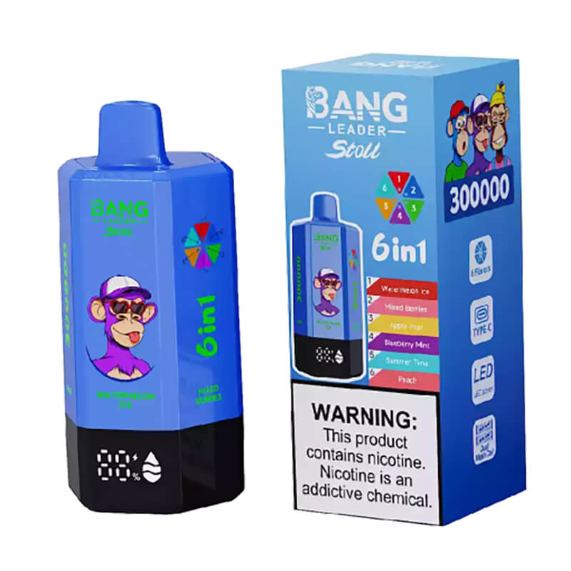 Bang Leader Stoll 300000 Puffs 6 Flavors Disposable Vape