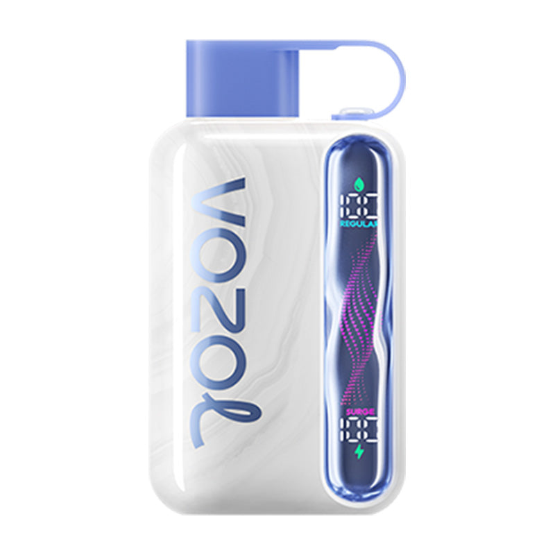 VOZOL Star 40000 Puffs Disposable Vape