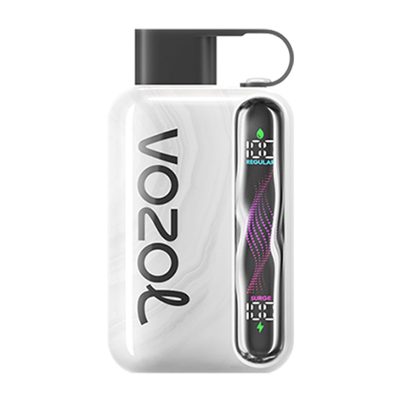 VOZOL Star 40000 Puffs Disposable Vape