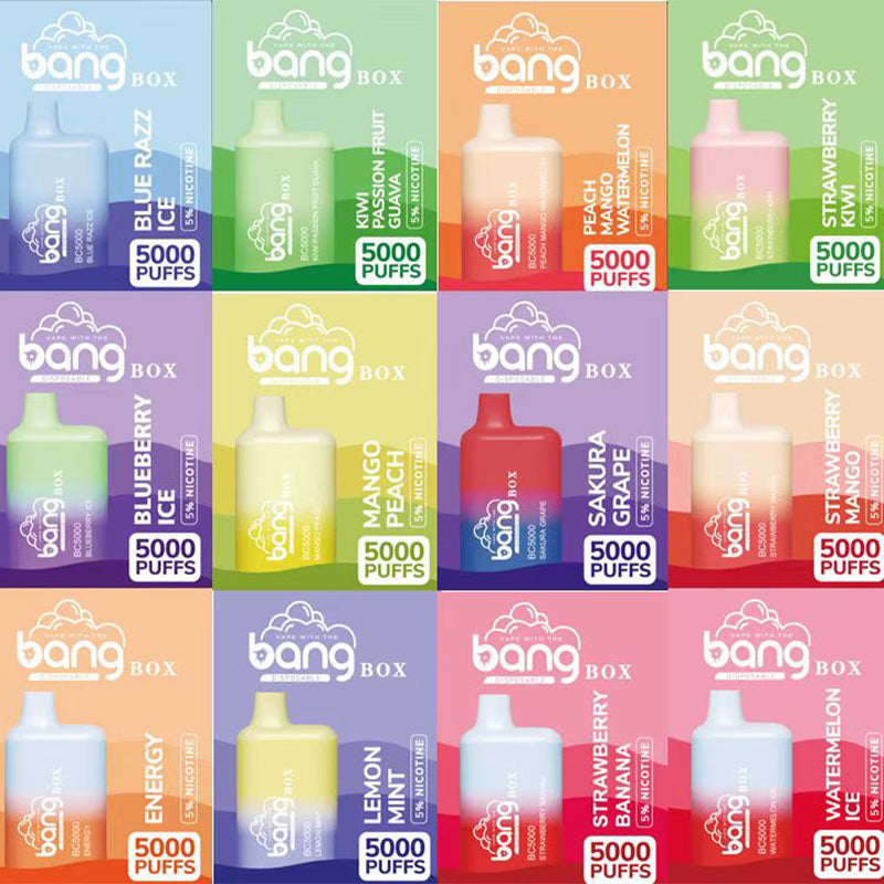 Bang Box BC 5000  Puffs Disposable Vape