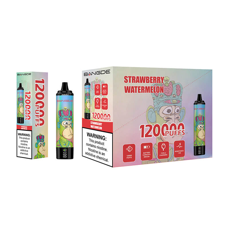 BANGDE 120000 Puffs Disposable Vape