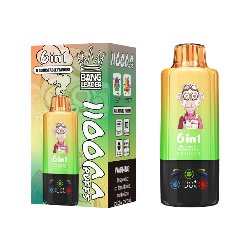 Bang Leader 110000 Puffs 6 Flavors Disposable Vape