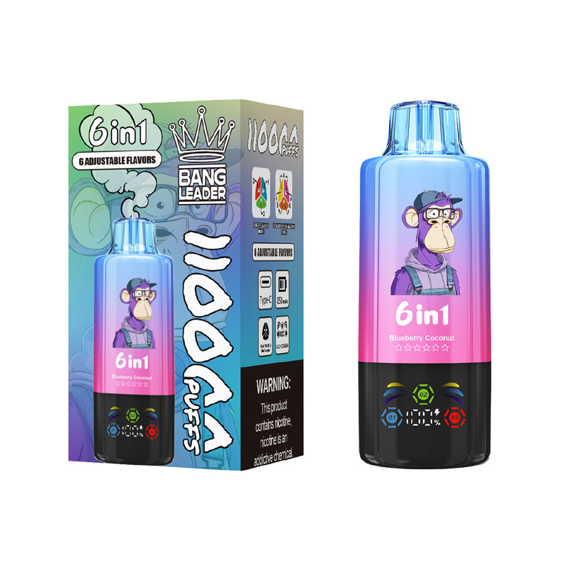 Bang Leader 110000 Puffs 6 Flavors Disposable Vape