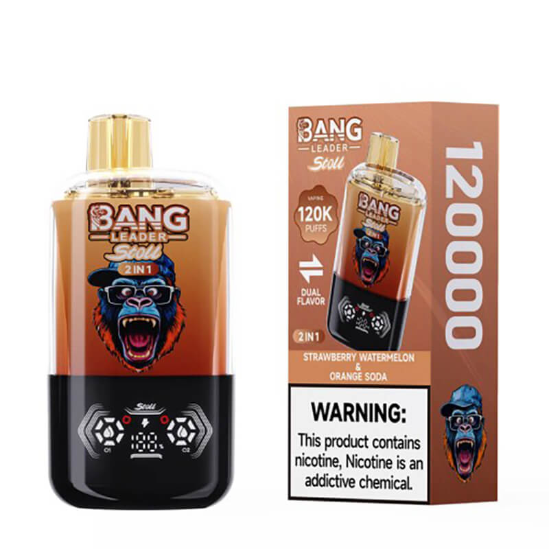 wine flavored vape Bang Leader Stoll 120000 Puffs 2-in-1 Disposable Vape 120K E-cigarette