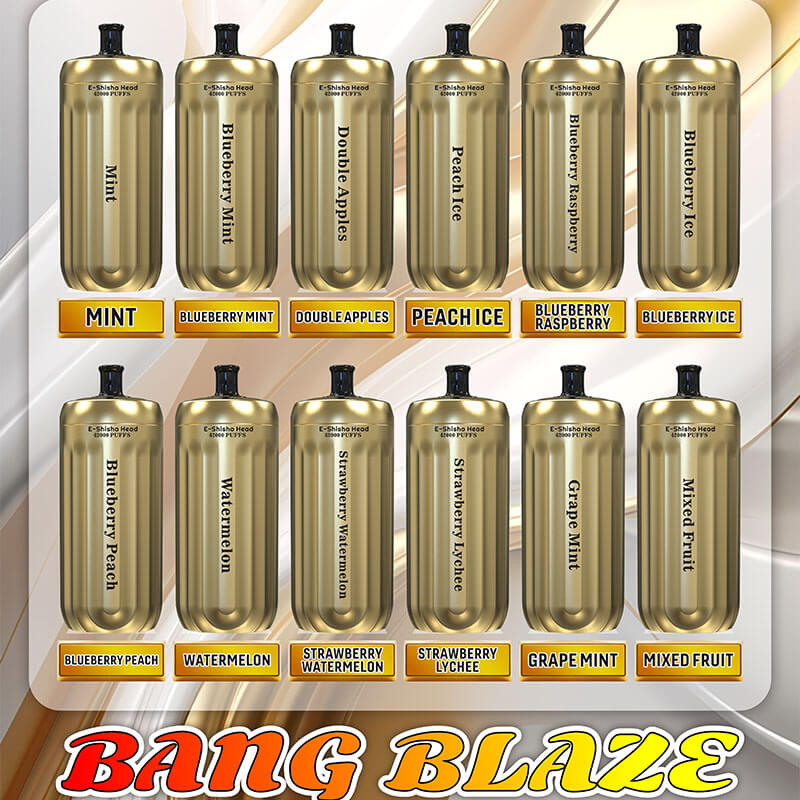 Bang Blaze E-Shisha Head 42000 Puffs Disposable Vape