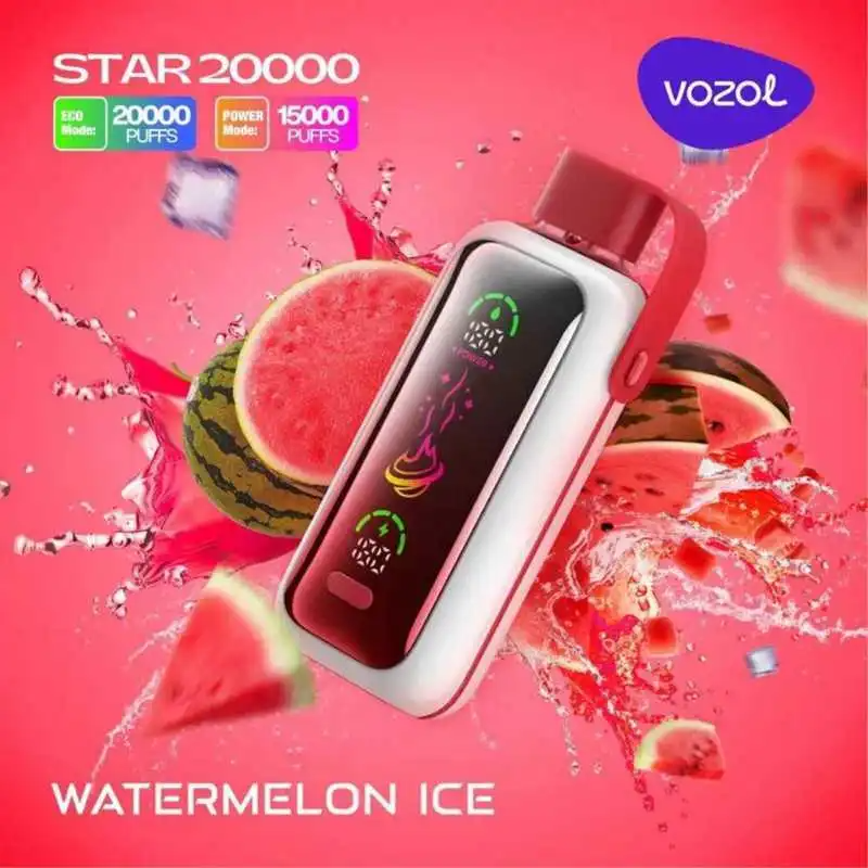 VOZOL Star 20000 Puffs Disposable Vape