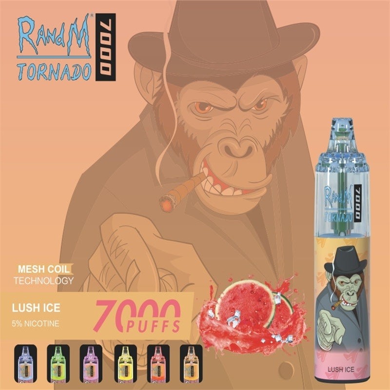 RandM Tornado 7000 Puffs Disposable Vape