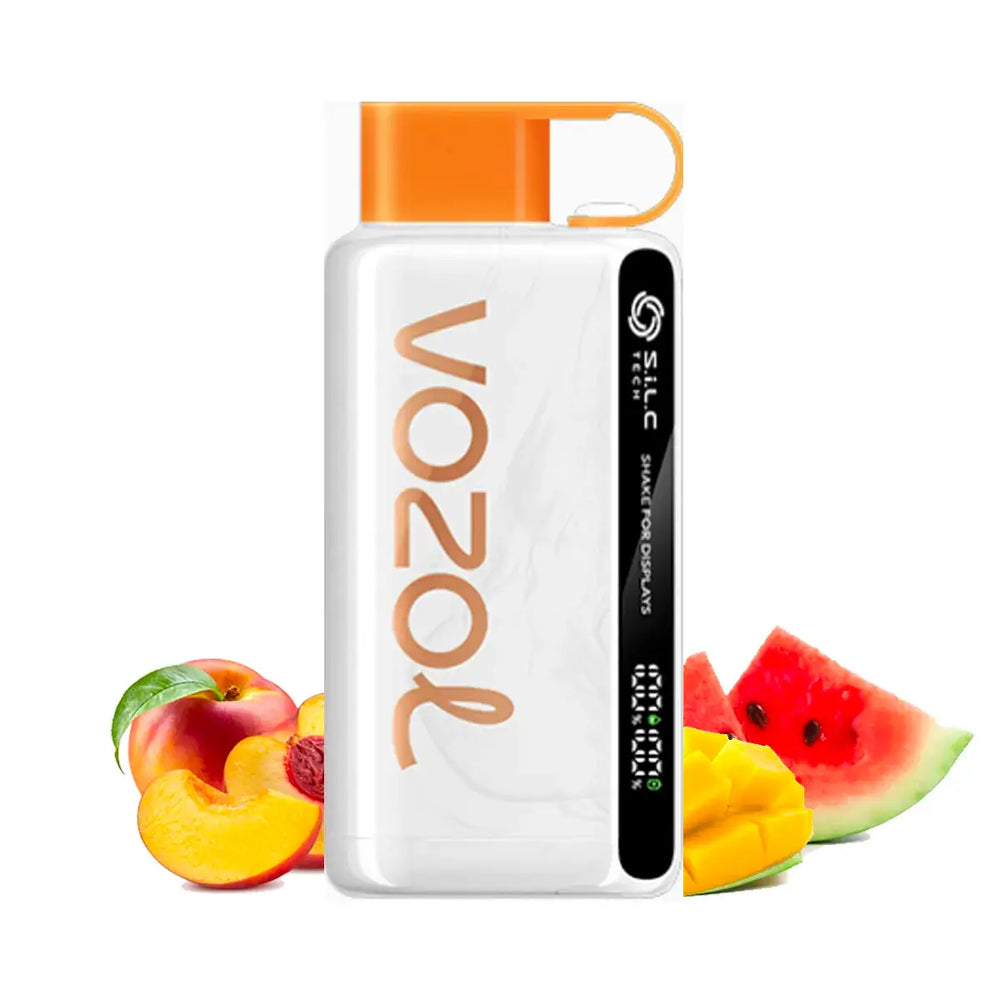 VOZOL Star 12000 Puffs Disposable Vape